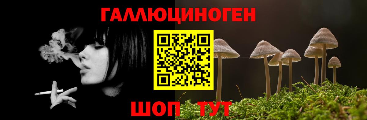 Псилоцибиновые грибы прущие грибы  Вход с VPN  где продают наркотики  Галлюциногенные грибы Psilocybine cubensis  Шадринск 